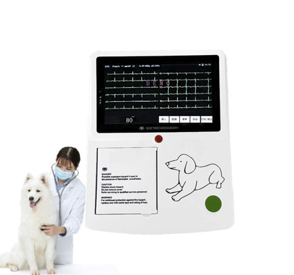 Ιατρικό Νοσοκομείο Ψηφιακή οθόνη αφής 3 κανάλι 12 Lead EKG EKG Μηχανή για κτηνίατρο
